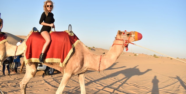 Evening Desert Safari